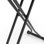 Дошка для прасування Casa Si Mondo L 125x42 Grey/Blue Feathers (CS93570L342)