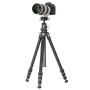 Штатив Vanguard VEO 5 264AB-160S (VEO 5 264AB-160)