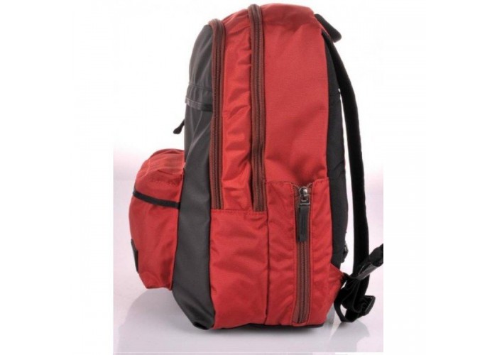 Рюкзак Victorinox ALTMONT 3.0, Standard 20 л  червоний (Vt601416)