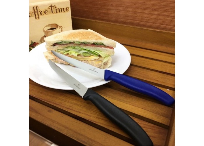 Набір кухонний Victorinox SwissClassic Steak Gift Set GB (6.7233.6G)