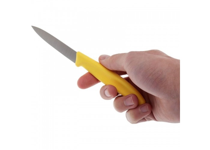 Ніж кухонний Victorinox SwissClassic Paring (6.7606.L118B)