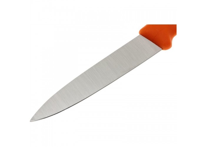 Ніж кухонний Victorinox SwissClassic Paring (6.7606.L119B)