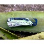 Мультиінструмент Leatherman Skeletool CX Verdant