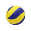 Волейбольні м'ячі